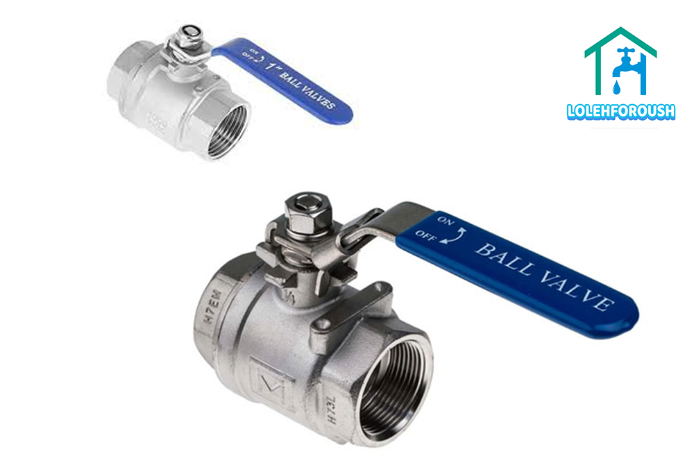 شیر توپی (بال ولو)